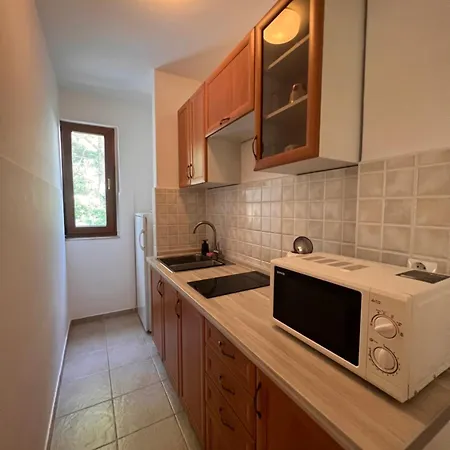 Apartment Tomic