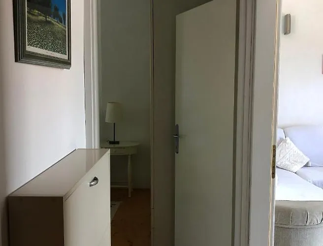 Daire Tomic